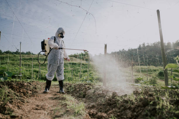 Best Commercial Pest Control Services  in Arp, TX