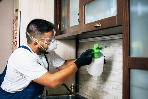 Best Mosquito Control Services  in Arp, TX