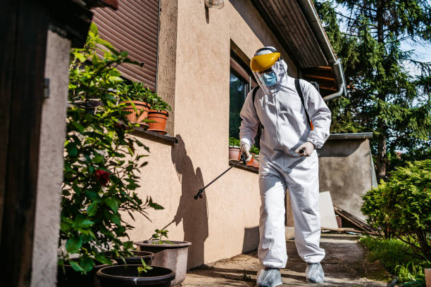 Flea Control Services in Arp, TX