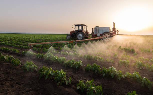 Professional Pest Control in Arp, TX