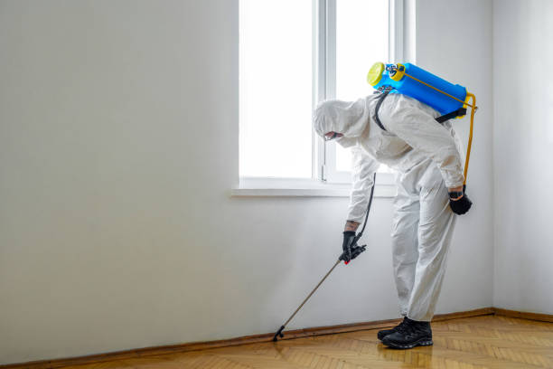 Best Termite Control Services  in Arp, TX