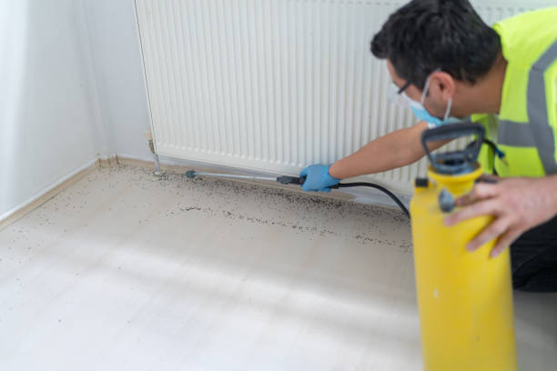 Best Pest Removal Services  in Arp, TX